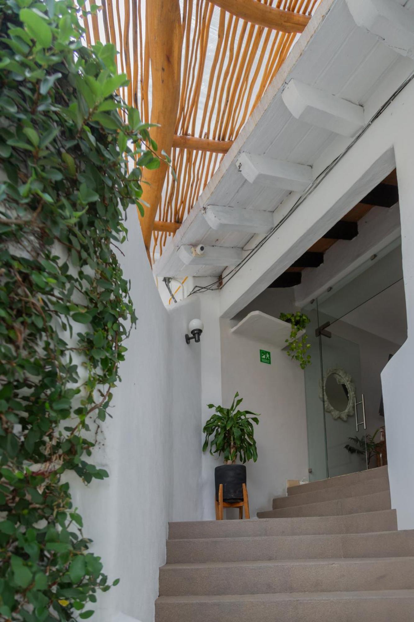 Hotel Amaca Puerto Vallarta - Adults Only Exterior photo